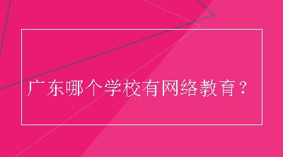 广东哪个学校有网络教育？