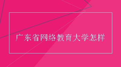 广东省网络教育大学怎样