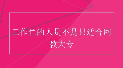 工作忙的人是不是只适合网教大专