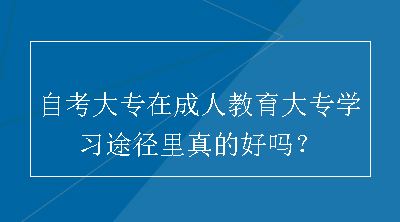 自考大专在成人教育大专学习途径里真的好吗？