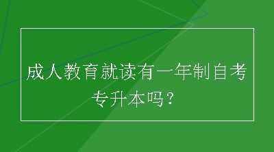 成人教育就读有一年制自考专升本吗？