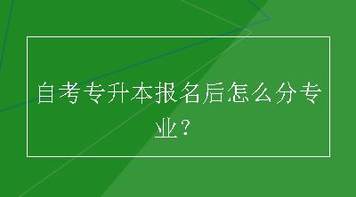 自考专升本报名后怎么分专业？