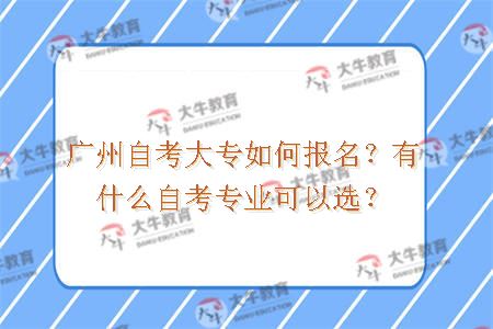 广州自考大专如何报名？有什么自考专业可以选？