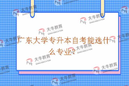 广东大学专升本自考能选什么专业