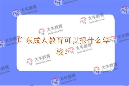 广东成人教育可以报什么学校？