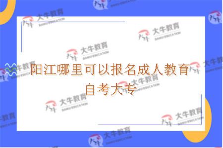 阳江哪里可以报名成人教育自考大专