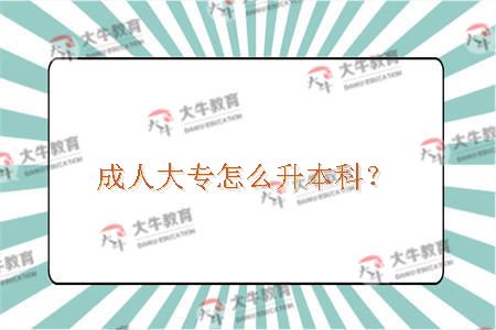 成人大专怎么升本科？