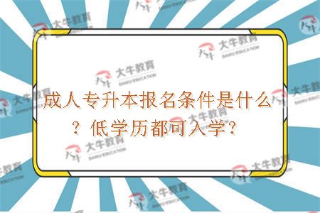 成人专升本报名条件是什么？低学历都可入学？