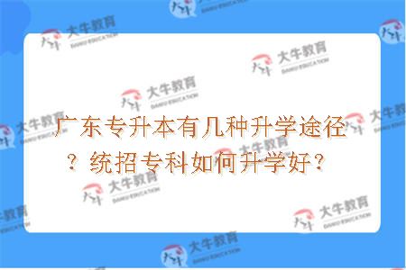 广东专升本有几种升学途径？统招专科如何升学好？