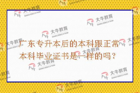 广东专升本后的本科跟正常本科毕业证书是一样的吗？