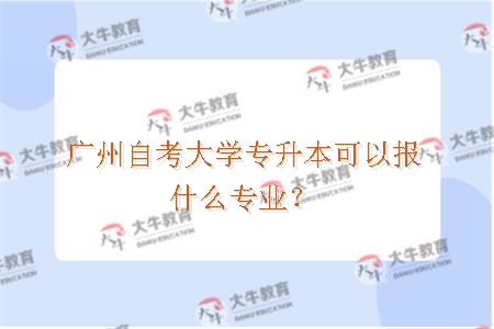 广州自考大学专升本可以报什么专业？