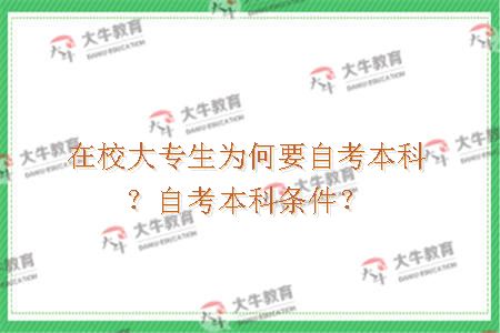 在校大专生为何要自考本科？自考本科条件？