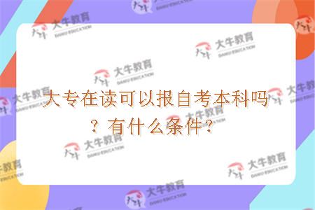 大专在读可以报自考本科吗？有什么条件？