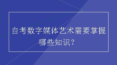 自考数字媒体艺术需要掌握哪些知识？