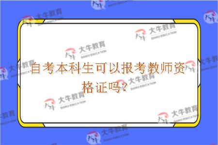 自考本科生可以报考教师资格证吗？