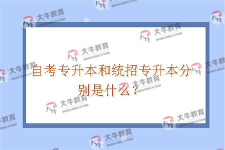 自考专升本和统招专升本分别是什么？