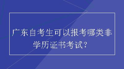 广东自考生可以报考哪类非学历证书考试？