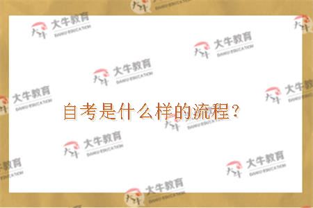 自考是什么样的流程？