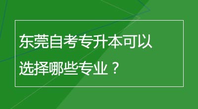 东莞自考专升本可以选择哪些专业？