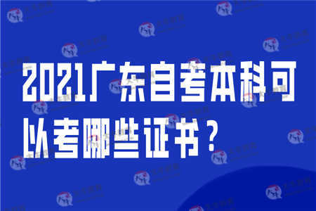 2021广东自考本科可以考哪些证书？ 