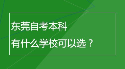 东莞自考本科有什么学校可以选？