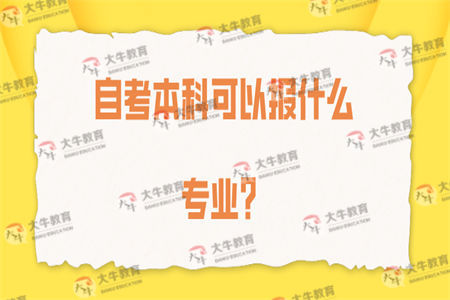 自考本科可以报什么专业？