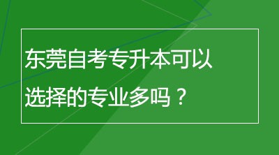 东莞自考专升本可以选择的专业多吗？