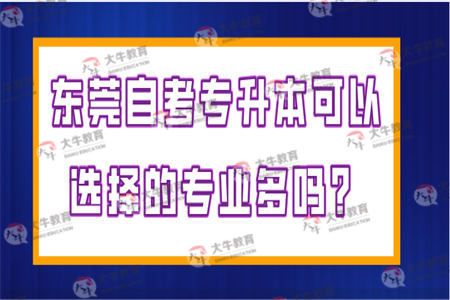 东莞自考专升本可以选择的专业多吗？