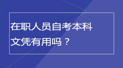 在职人员自考本科文凭有用吗？